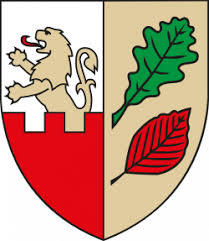 platformLogo